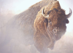 Robert Bateman, Chief, 1997. Gift of Birgit & Robert Bateman, National Museum of Wildlife Art.